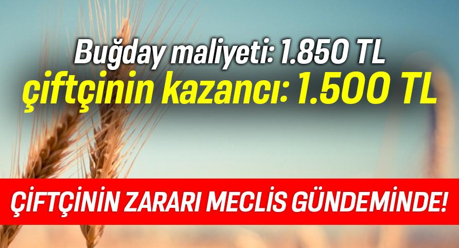 Buğday maliyeti: 1.850 TL, çiftçinin kazancı: 1.500 TL