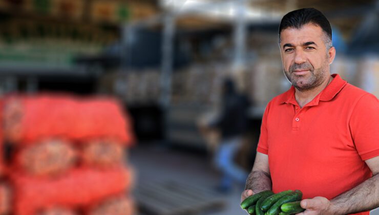 Hasat Başladı: Fiyatlar Yarı Yarıya Düşecek