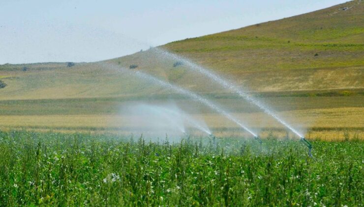 Çiftçilerin Sesi Sonunda Duyuldu: Ekinlerin Kurumaması Için Su Verilecek