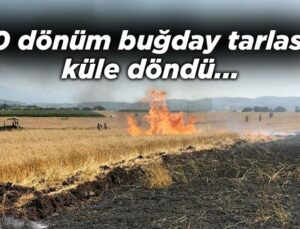 10 Dönüm Buğday Tarlası Kül Oldu