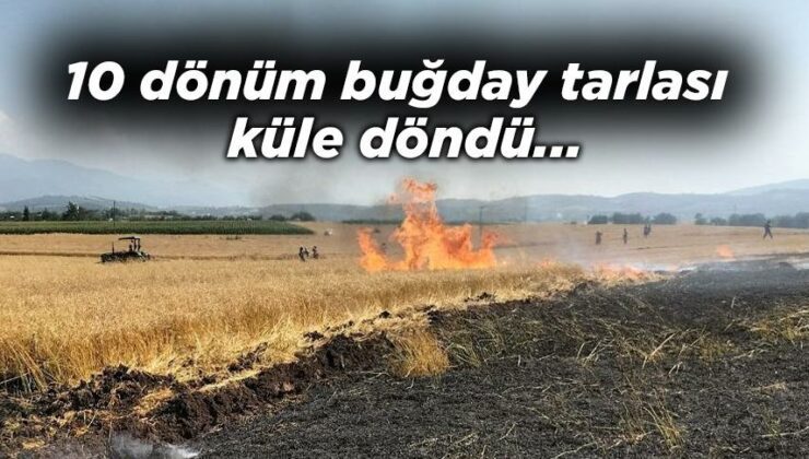 10 Dönüm Buğday Tarlası Kül Oldu