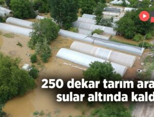 250 Dekar Tarım Arazisi Sular Altında Kaldı