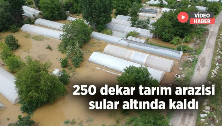 250 Dekar Tarım Arazisi Sular Altında Kaldı