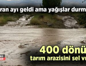 400 Dönüm Tarım Arazisini Sel Vurdu