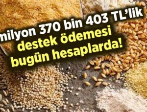 77 Milyon 370 Bin 403 Tl’lik Destek Ödemesi Bugün Hesaplarda!