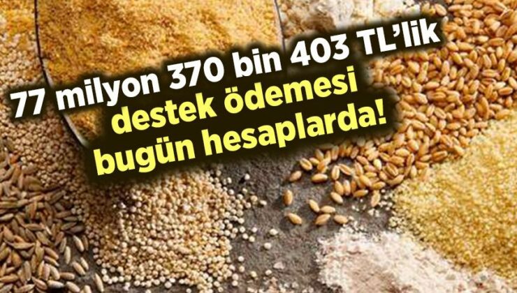 77 Milyon 370 Bin 403 Tl’lik Destek Ödemesi Bugün Hesaplarda!