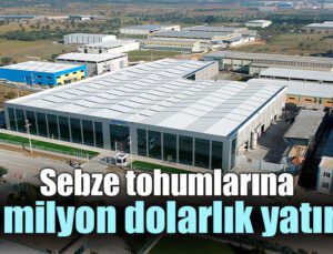 Sebze Tohumlarına 40 Milyon Dolarlık Yatırım