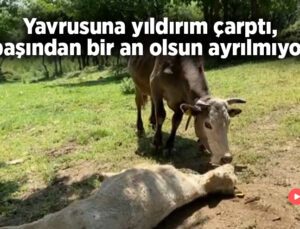 Yavrusuna Yıldırım Çarptı, Başından Bir An Olsun Ayrılmıyor