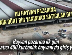 Bu Hayvan Pazarına Ülkenin Dört Bir Yanından Satıcılar Geliyor