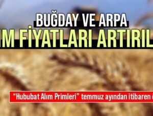 Buğday Ve Arpa Alım Fiyatları Artırıldı!