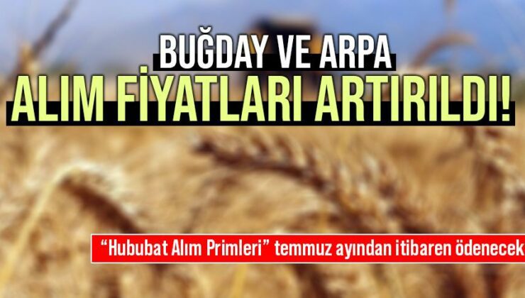 Buğday Ve Arpa Alım Fiyatları Artırıldı!