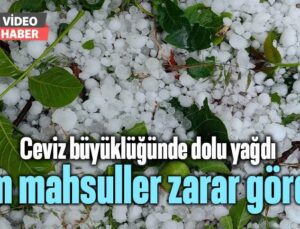 Ceviz Büyüklüğünde Dolu Yağdı, Tüm Mahsuller Zarar Gördü!