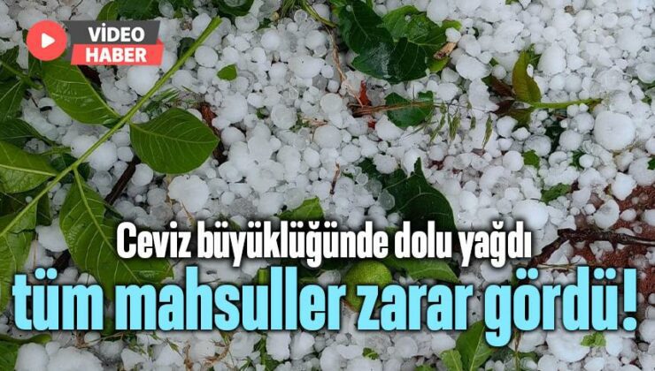 Ceviz Büyüklüğünde Dolu Yağdı, Tüm Mahsuller Zarar Gördü!