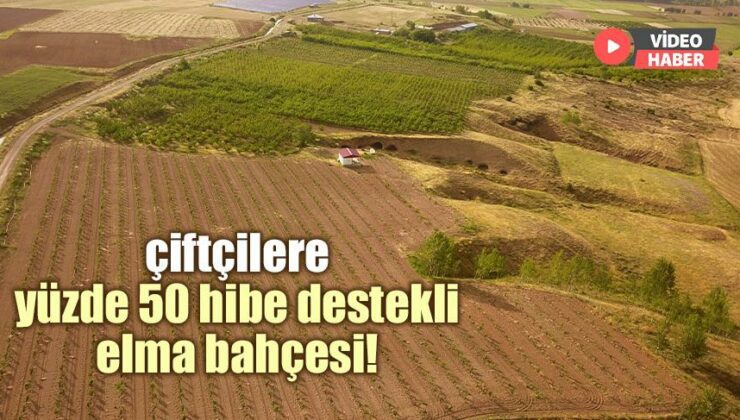 Çiftçilere Yüzde 50 Hibe Destekli Elma Bahçesi!