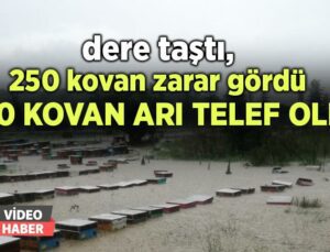 Dere Taştı, 250 Kovan Zarar Gördü 100 Kovan Arı Telef Oldu