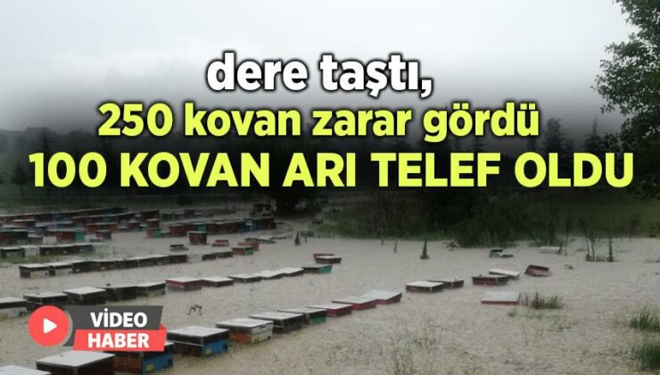 Dere Taştı, 250 Kovan Zarar Gördü 100 Kovan Arı Telef Oldu