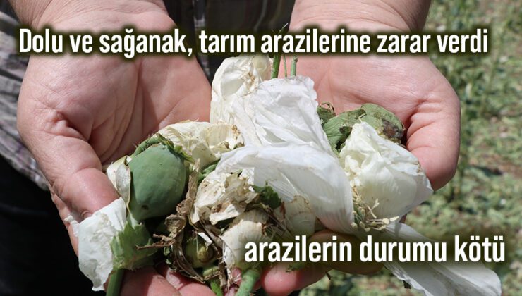 Dolu Ve Sağanak, Tarım Arazilerine Zarar Verdi