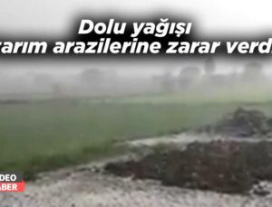 Dolu Yağışı Tarım Arazilerine Zarar Verdi