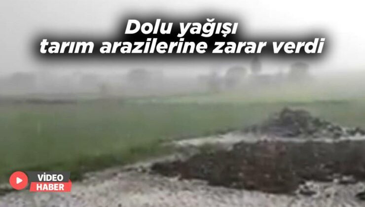 Dolu Yağışı Tarım Arazilerine Zarar Verdi