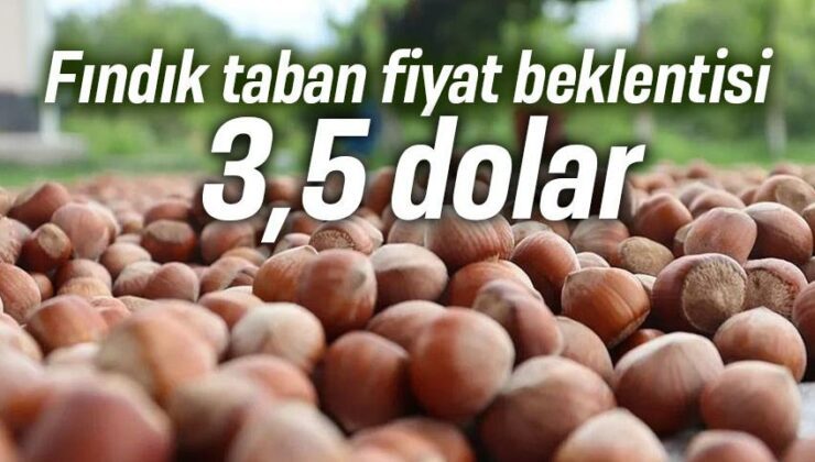 Fındık Taban Fiyat Beklentisi 3,5 Dolar