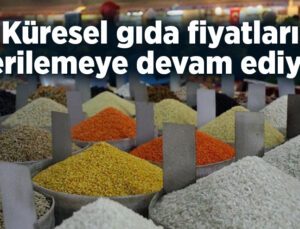 Küresel Gıda Fiyatları Gerilemeye Devam Ediyor