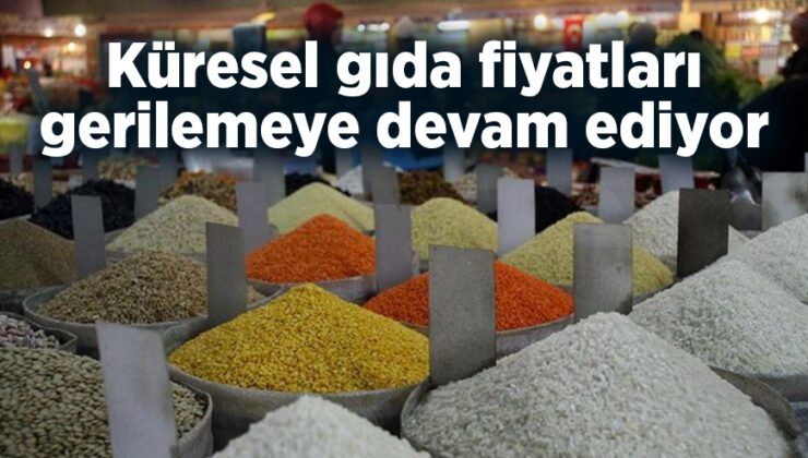 Küresel Gıda Fiyatları Gerilemeye Devam Ediyor