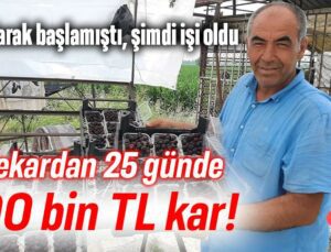 Hobi Olarak Başlamıştı, Şimdi Işi Oldu. 5 Dekardan 25 Günde 300 Bin Tl Kar!