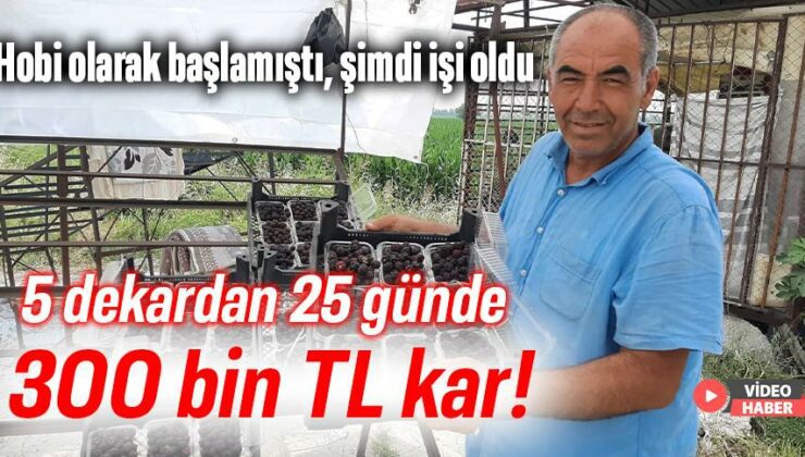 Hobi Olarak Başlamıştı, Şimdi Işi Oldu. 5 Dekardan 25 Günde 300 Bin Tl Kar!