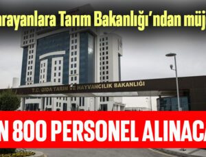 İş Arayanlara Tarım Bakanlığı’ndan Müjde! Bin 800 Personel Alınacak