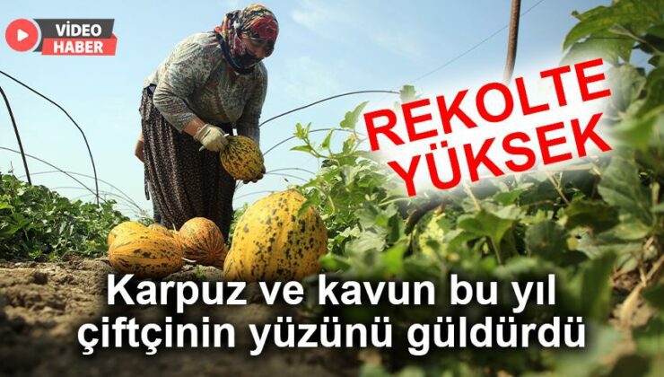 Karpuz Ve Kavun Bu Yıl Çiftçinin Yüzünü Güldürdü