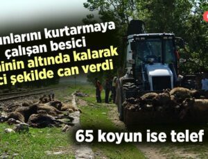 Koyunlarını Kurtarmaya Çalışan Besici Treninin Altında Kalarak Feci Şekilde Can Verdi