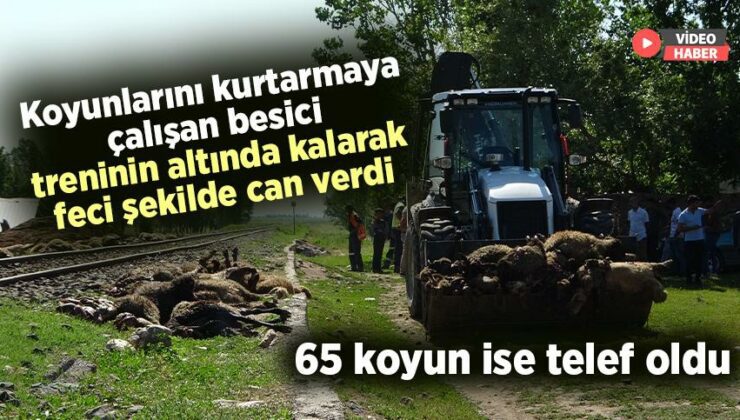 Koyunlarını Kurtarmaya Çalışan Besici Treninin Altında Kalarak Feci Şekilde Can Verdi