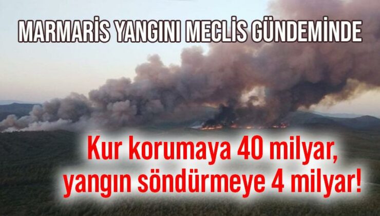 Kur Korumaya 40 Milyar, Yangın Söndürmeye 4 Milyar!