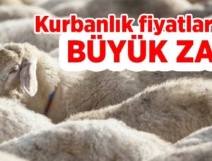 Kurbanlık Fiyatlarına Büyük Zam