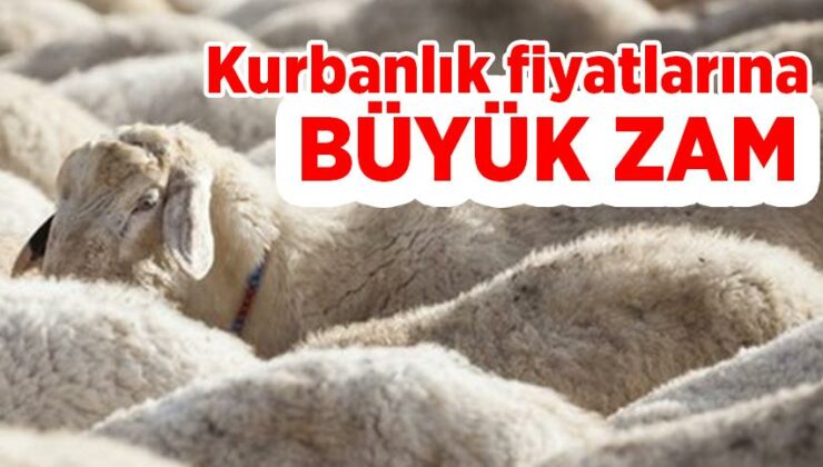 Kurbanlık Fiyatlarına Büyük Zam