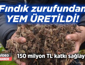 Fındık Zurufundan Yem Üretildi!