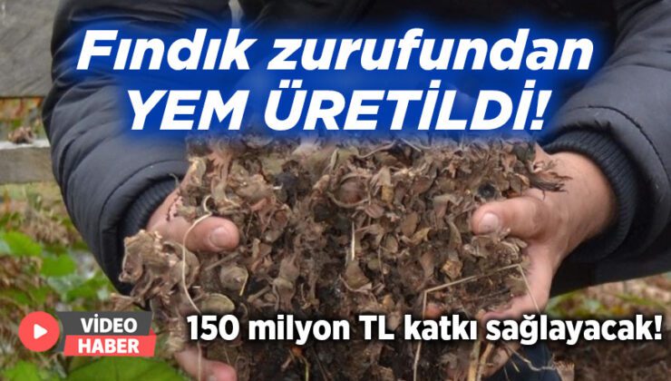 Fındık Zurufundan Yem Üretildi!