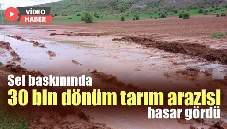 Sel Baskınında 30 Bin Dönüm Tarım Arazisi Hasar Gördü