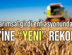 Tarımsal Girdi Enflasyonunda Yine Yeni Rekor