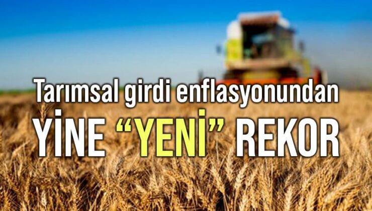 Tarımsal Girdi Enflasyonunda Yine Yeni Rekor