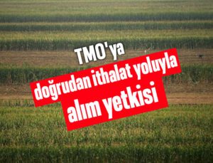 Tmo’ya Doğrudan Ithalat Yoluyla Alım Yetkisi Verildi