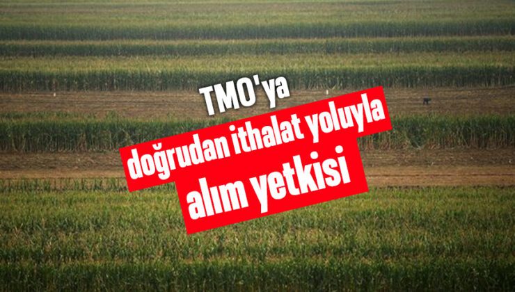 Tmo’ya Doğrudan Ithalat Yoluyla Alım Yetkisi Verildi