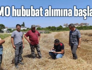 Tmo Hububat Alımına Başladı