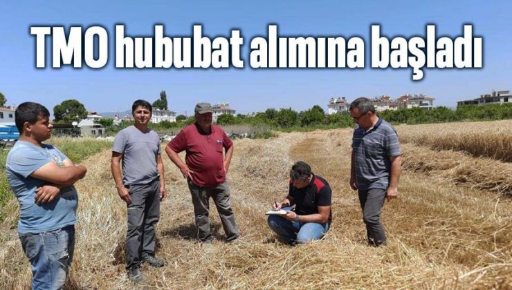 Tmo Hububat Alımına Başladı