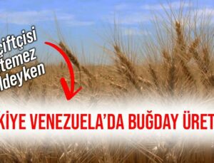 Türk Çiftçisi Üretemez Haldeyken Türkiye Venezuela’da Buğday Üretecek