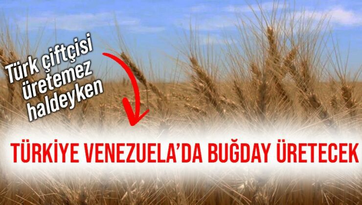Türk Çiftçisi Üretemez Haldeyken Türkiye Venezuela’da Buğday Üretecek