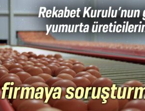 Rekabet Kurulu’nun Gözü Yumurta Üreticilerinde