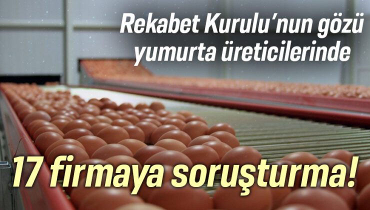 Rekabet Kurulu’nun Gözü Yumurta Üreticilerinde