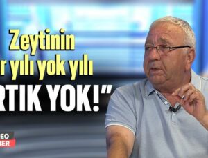 Zeytinin Var Yılı Yok Yılı “Artık Yok”