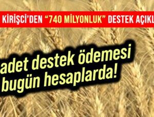 13 Adet Destek Ödemesi Bugün Hesaplarda!